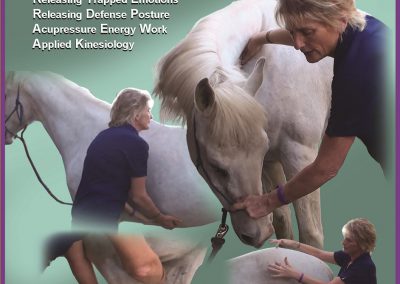 Level 1 - "Equine Musculoskeletal Unwinding" Home Study Program DVD & Workbook