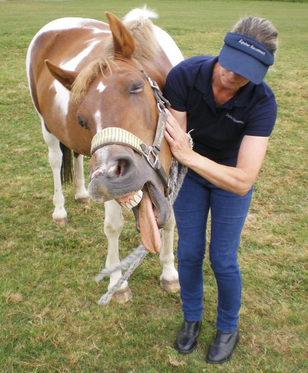 Trix Riedo and a horse