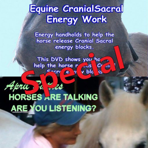 Watch Instantly Special -my two top selling DVDs + Free "Distance Communication" Report