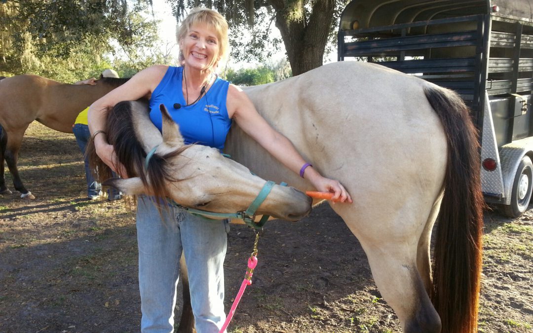 Love riding your horse? Here is how to help them be more comfortable in their bodies and be rideable into their 30’s