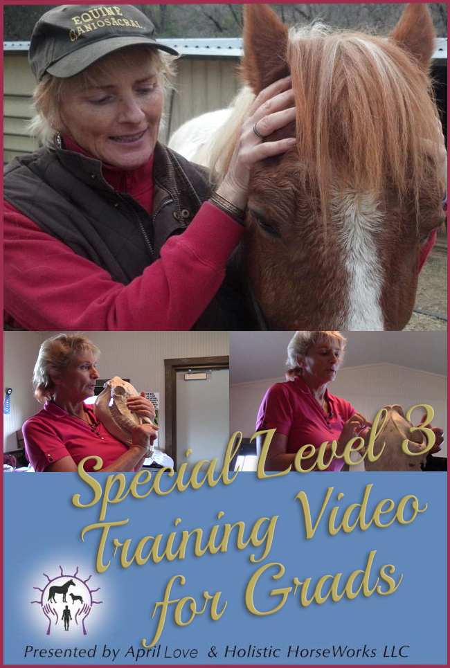 Horse Therapy-Home Study "Equine Musculoskeletal Unwinding" -Watch Instantly DVD Presented by Magic Hands Horseworks