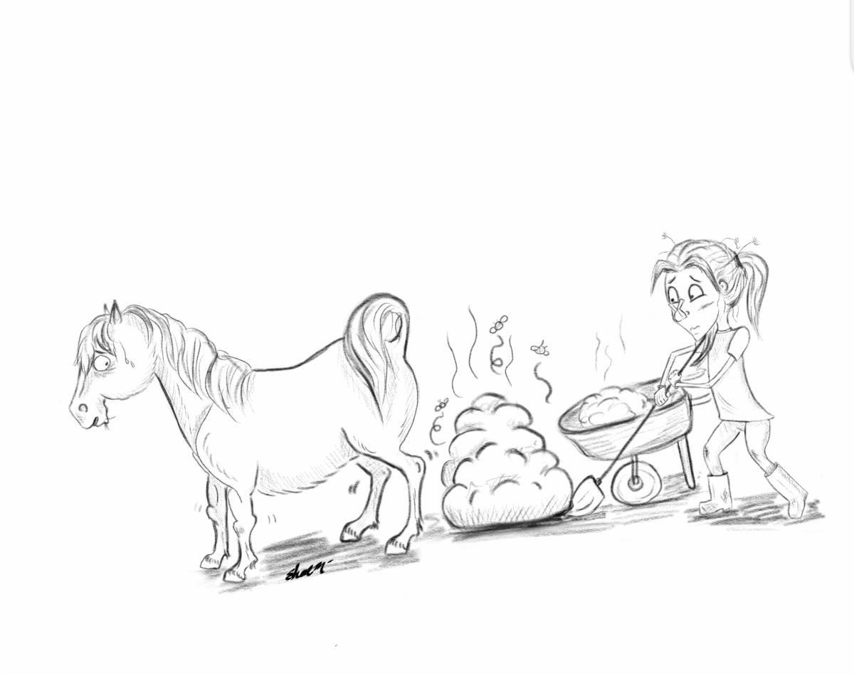 You can pottytrain your horse, here's how April Love Holistic