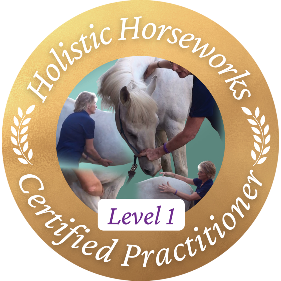 Level 1 Certification Program Home Study Students April Love Holistic Horse Works, LLC