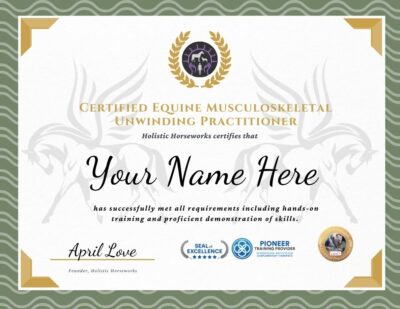 Level 1: Equine Musculoskeletal Unwinding Certification (Clinic Students)