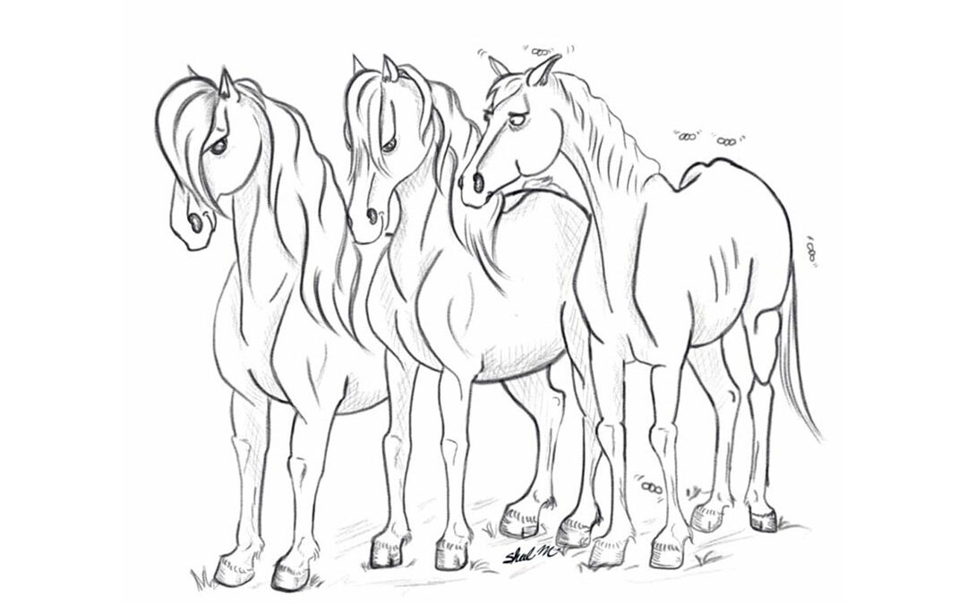 Three horses but one has more flies