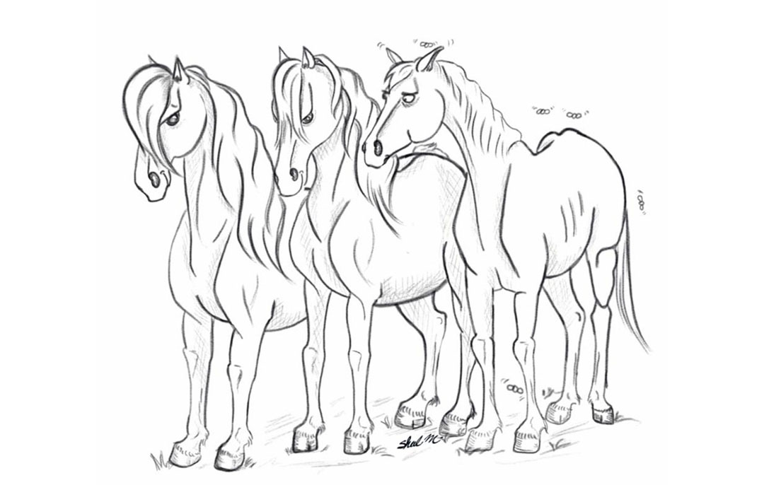 Three horses but one has more flies