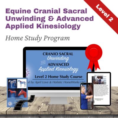 Level 2 “CranioSacral Unwinding & Advanced Applied Kinesiology” Home Study - Watch Instantly [NO DVD]