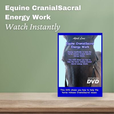 Equine CranioSacral Energy Work -Watch Instantly [English and French]