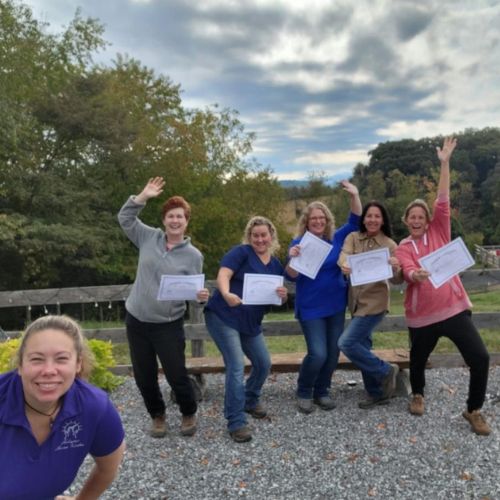 Holistic Horseworks Hands-On Horse Bodywork Clinics w/ Instructor ...