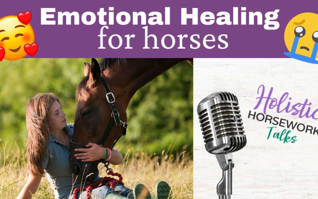 Emotional Healing for Horses