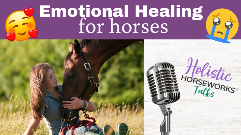 Caring for Older Horses Arthritis, Mobility, Nutrition, and Hooves