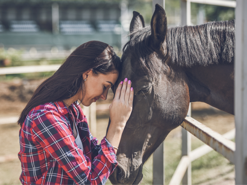 Horses Grieve, Too. How to Help Them.
