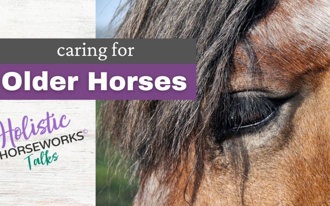 Caring for Older Horses: Arthritis, Mobility, Nutrition, and Hooves