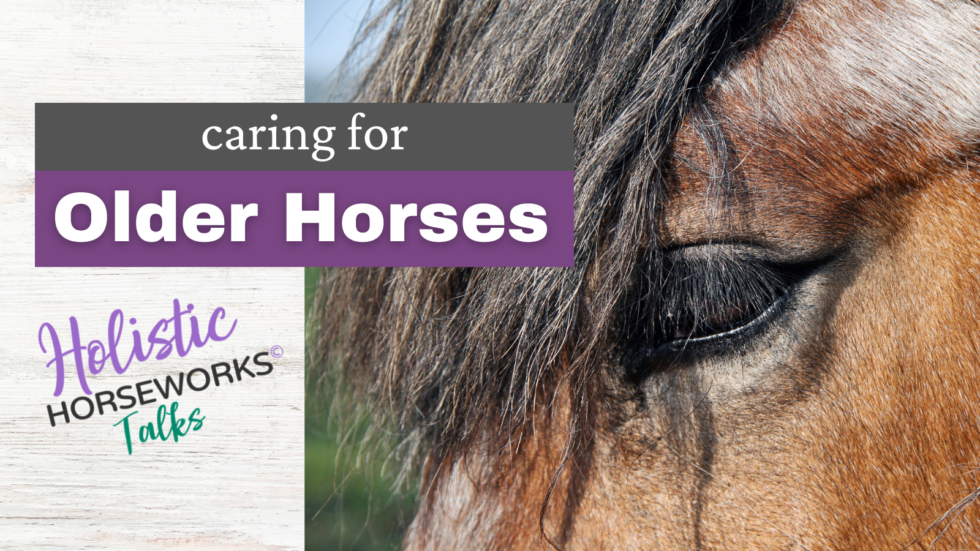 Caring for Older Horses Arthritis, Mobility, Nutrition, and Hooves