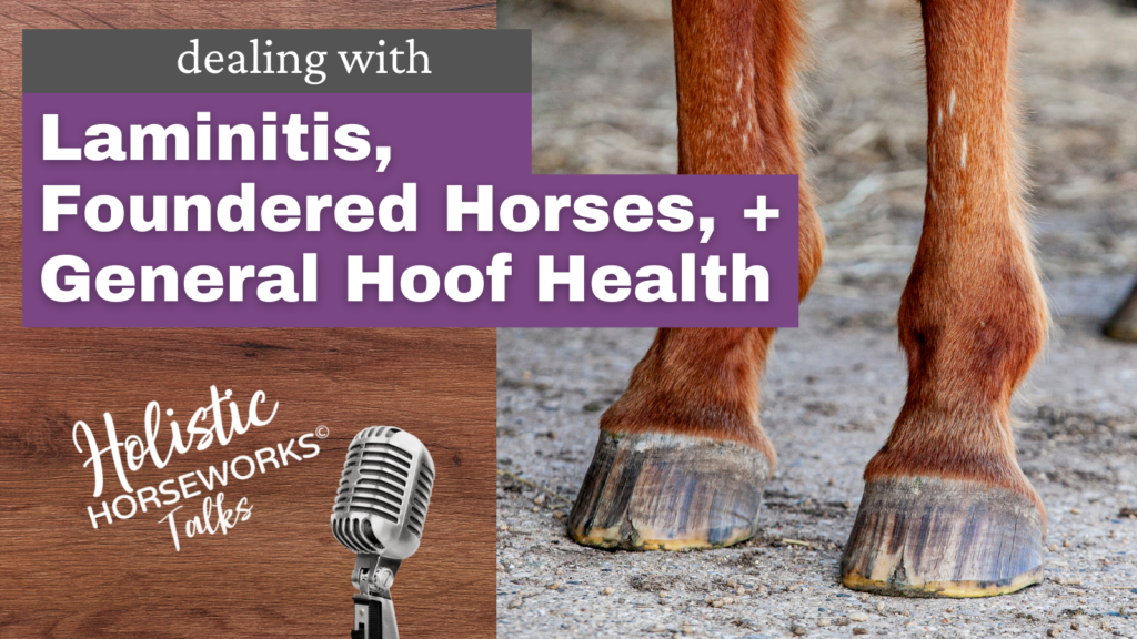 Dealing with Laminitis, Foundered Horses, and General Hoof Health