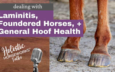 Dealing with Laminitis, Foundered Horses, and General Hoof Health