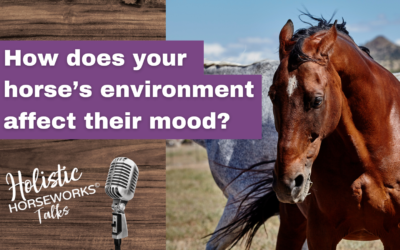 How does your horse’s environment affect their mood?