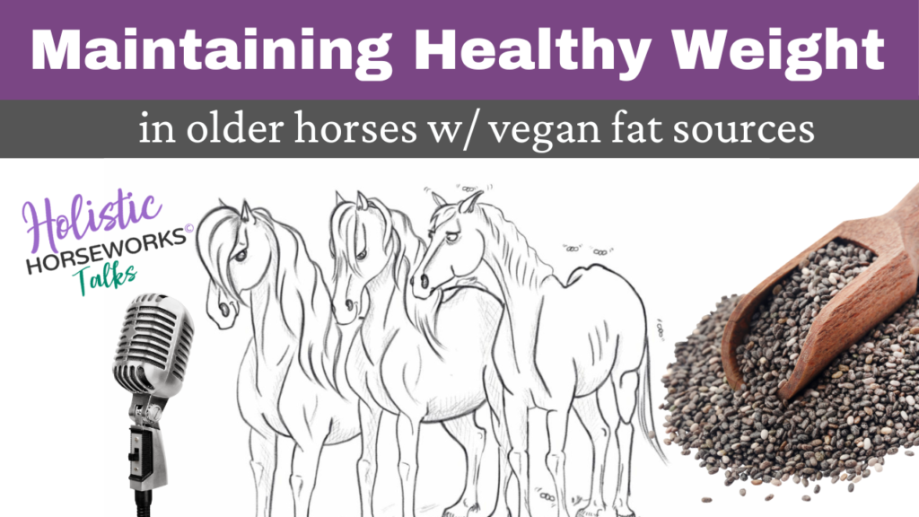 Maintaining Healthy Weight in Older Horses with Vegan Fat Sources