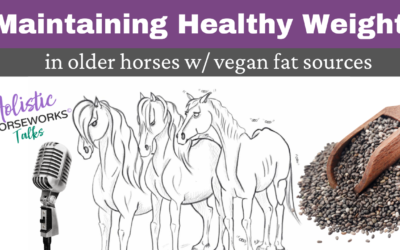 Maintaining Healthy Weight in Older Horses with Vegan Fat Sources