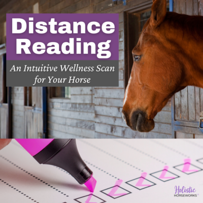 Distance Reading - An Intuitive Wellness Scan for Your Horse