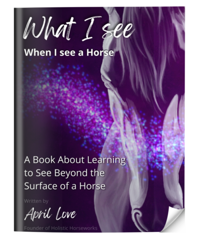 Free What I See When I See a Horse Ebook
