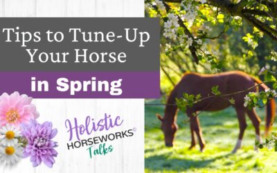 Tips to Tune-Up Your Horse in Spring
