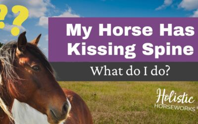 My Horse Has Kissing Spine! What Do I Do?