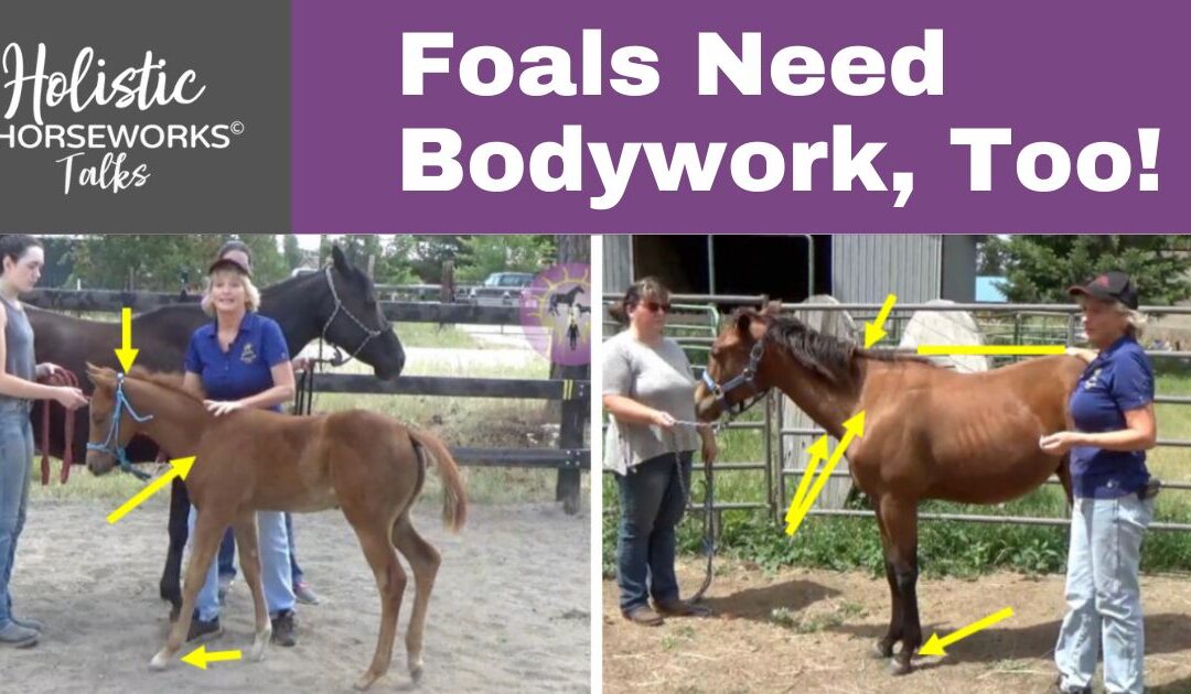 Foals Need Bodywork, Too!