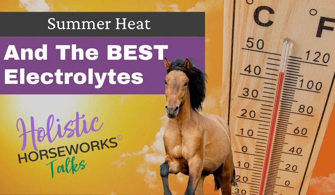 Summer Heat and the Best Electrolytes for Horses