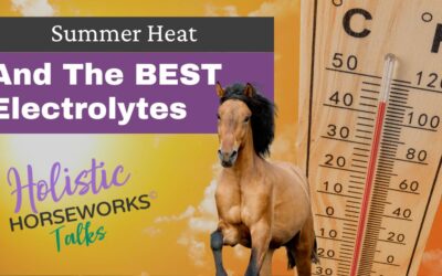 Summer Heat and the Best Electrolytes for Horses