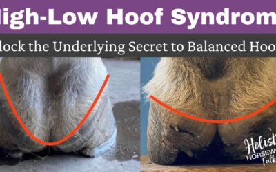 High-Low Hoof Syndrome: Unlock the Underlying Secret to Balanced Hooves