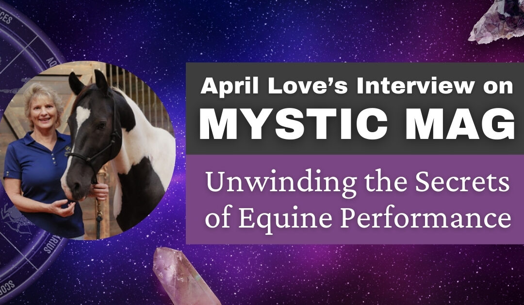 Mystac Mag Interview: Unwinding the Secrets of Equine Performance, April Love’s Journey to Holistic Healing