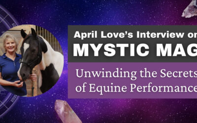 Mystac Mag Interview: Unwinding the Secrets of Equine Performance, April Love’s Journey to Holistic Healing