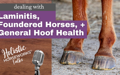 Natural Remedies for Laminitis in Horses