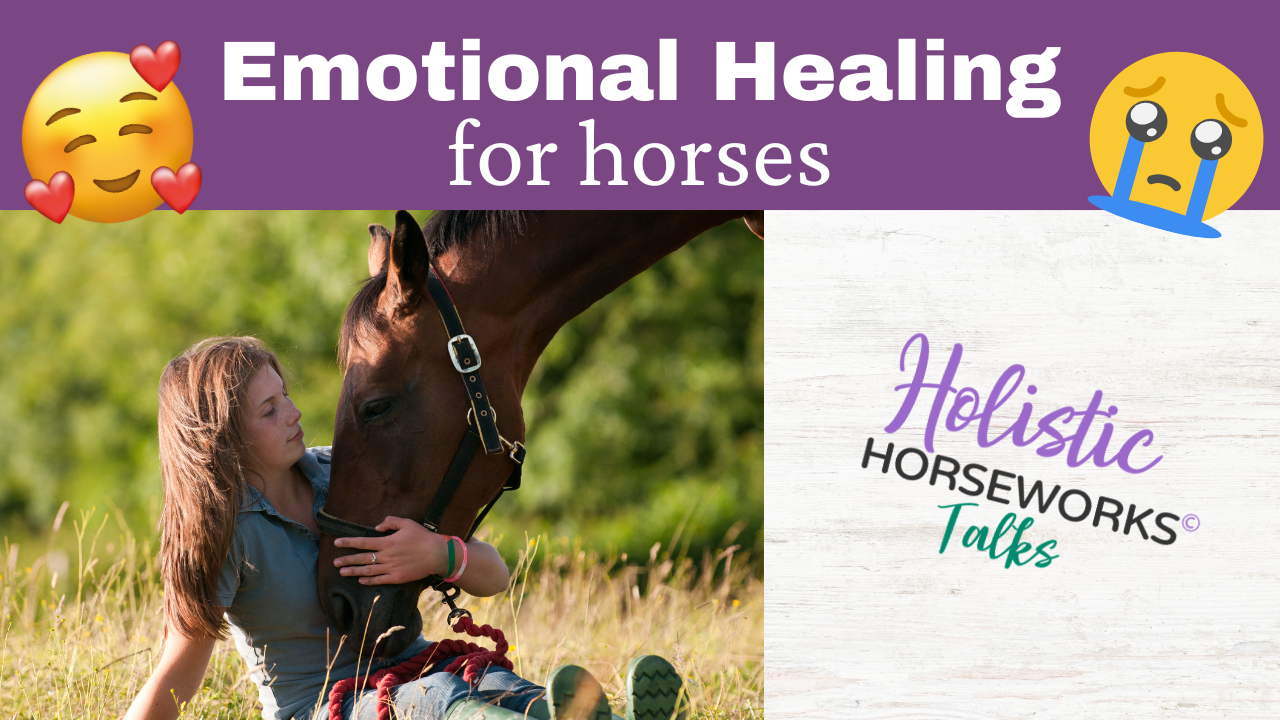 emotional healing for horses (1)