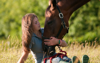 Emotional Healing for Healthier & Happier Horses