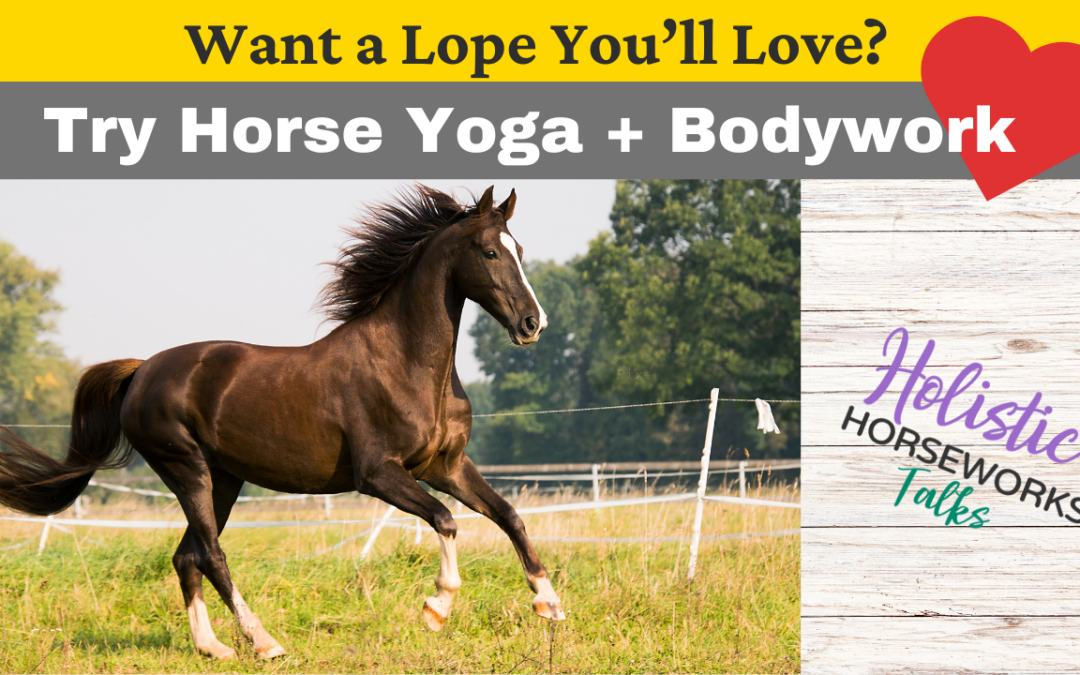 Want to Love Your Horse’s Lope? Try Horse Yoga + Bodywork