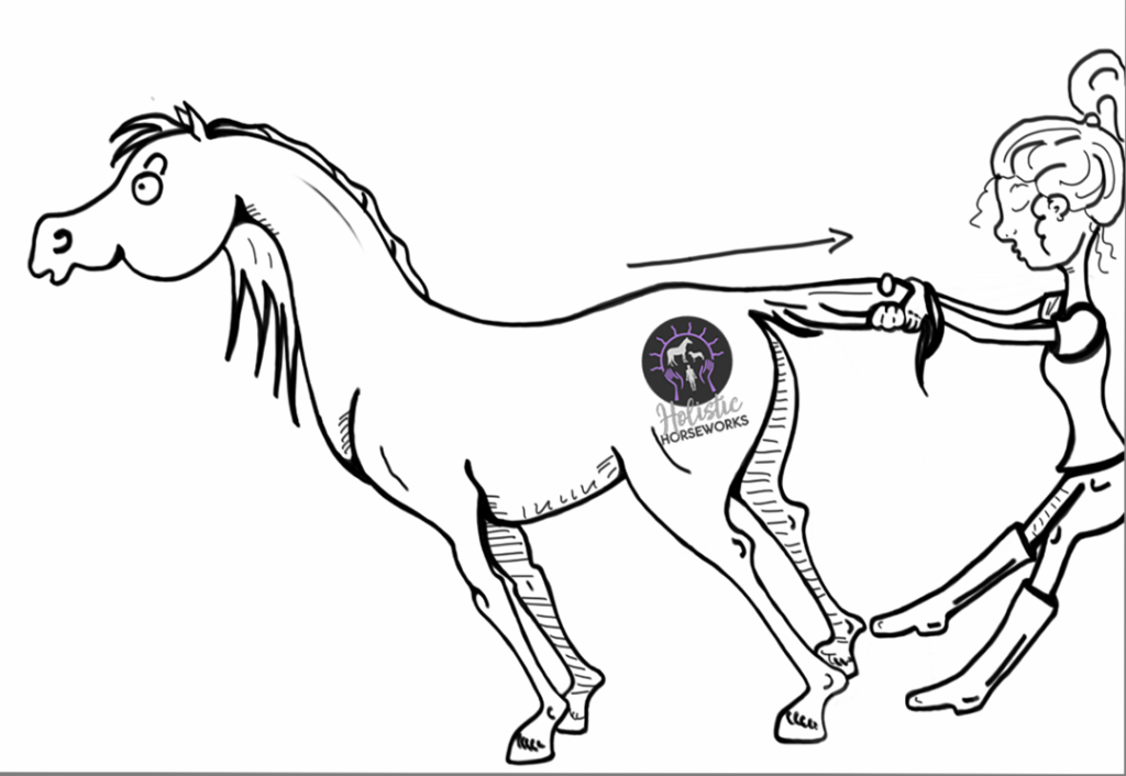 illustration of a girl pulling horse's tail