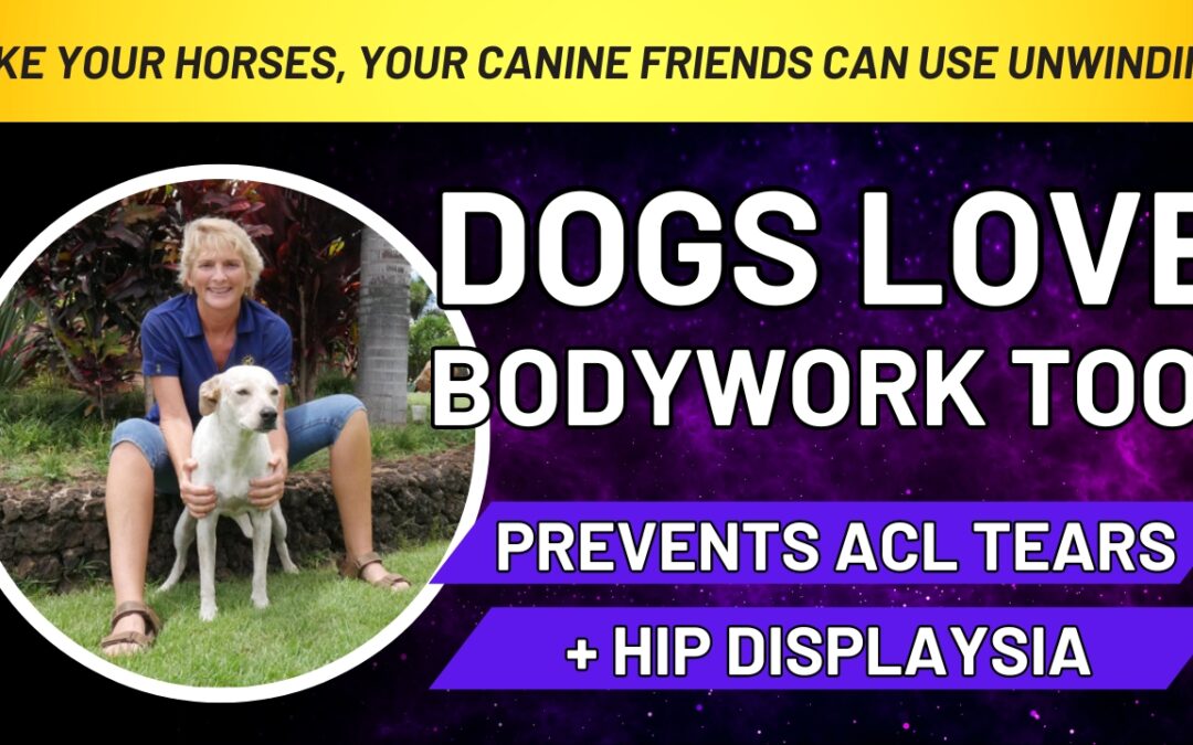 Dogs Love Bodywork, Too! (Prevents ACL Tears and  Hip Displaysia.)