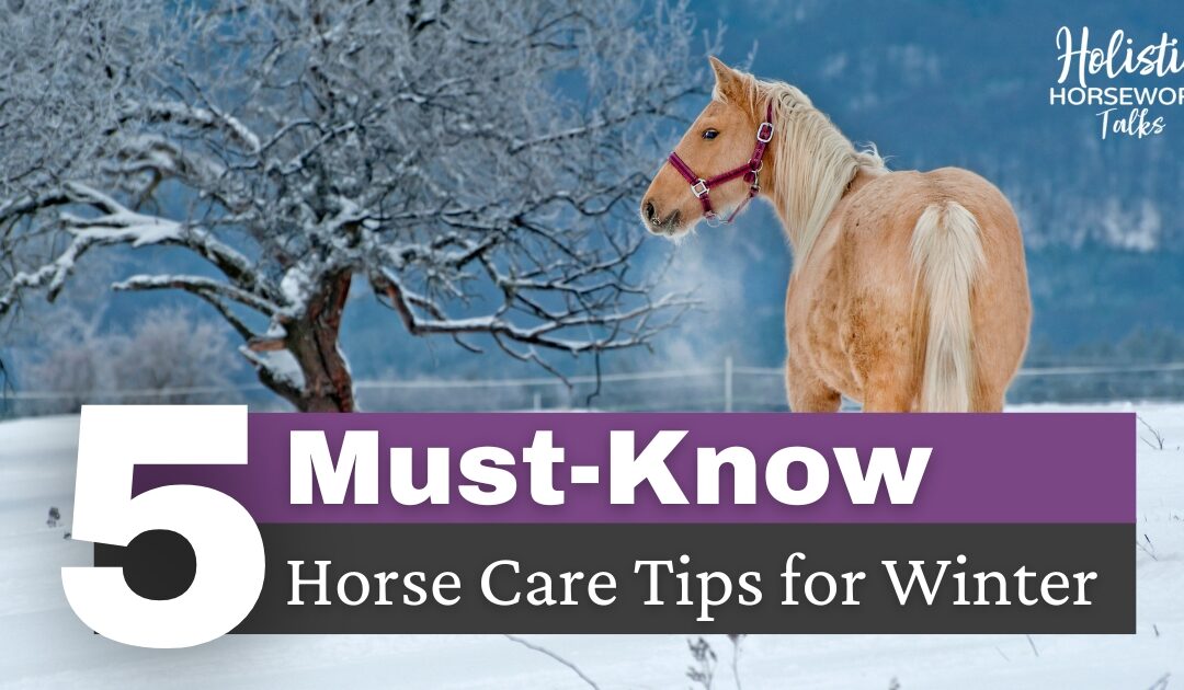 5 Must-Know Hore Care Tips for Winter