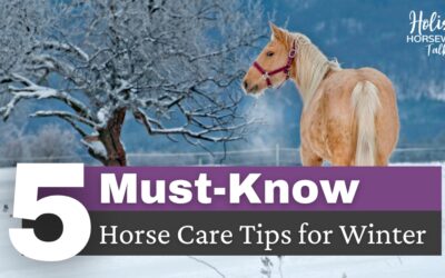 5 Must-Know Hore Care Tips for Winter