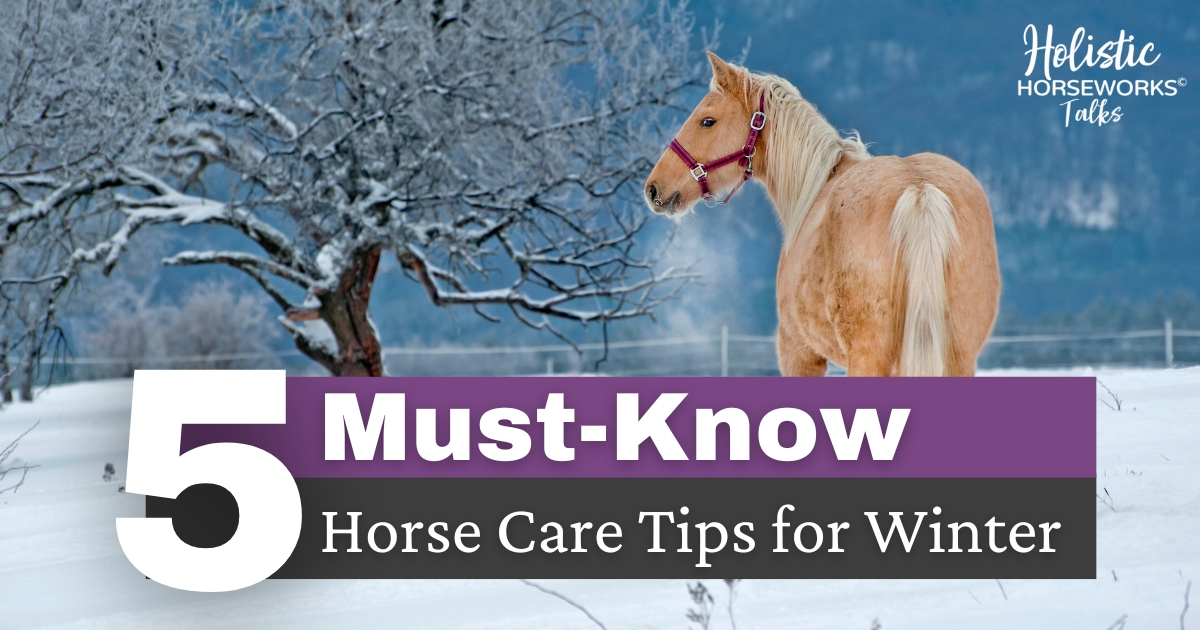 5 must know horse care tips for winter (1)