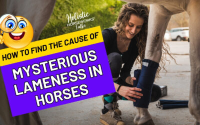 How to Find the Cause of Lameness in Horses