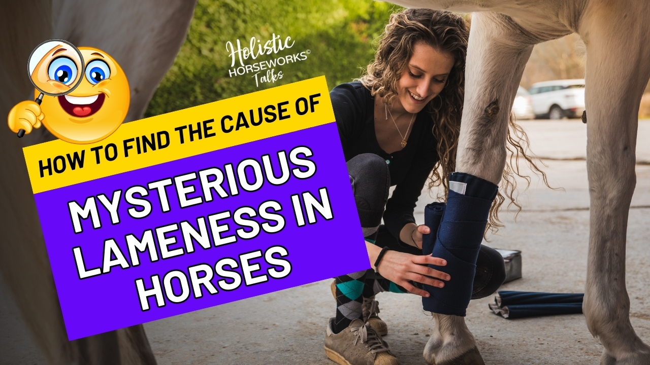 How to Find the Cause of Mysterious Lameness in Horses (1)