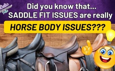 Did You Know That Saddle Fit Issues Are Really Horse Body Issues?