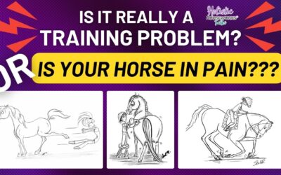 Is It Really a Training Problem, or Is Your Horse in Pain?