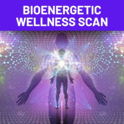 Bioenergetic Wellness Scan | Reclaim Your Vibrant Health and Vitality