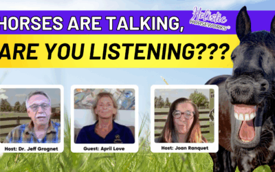 Horses Are Talking, Are You Listening?