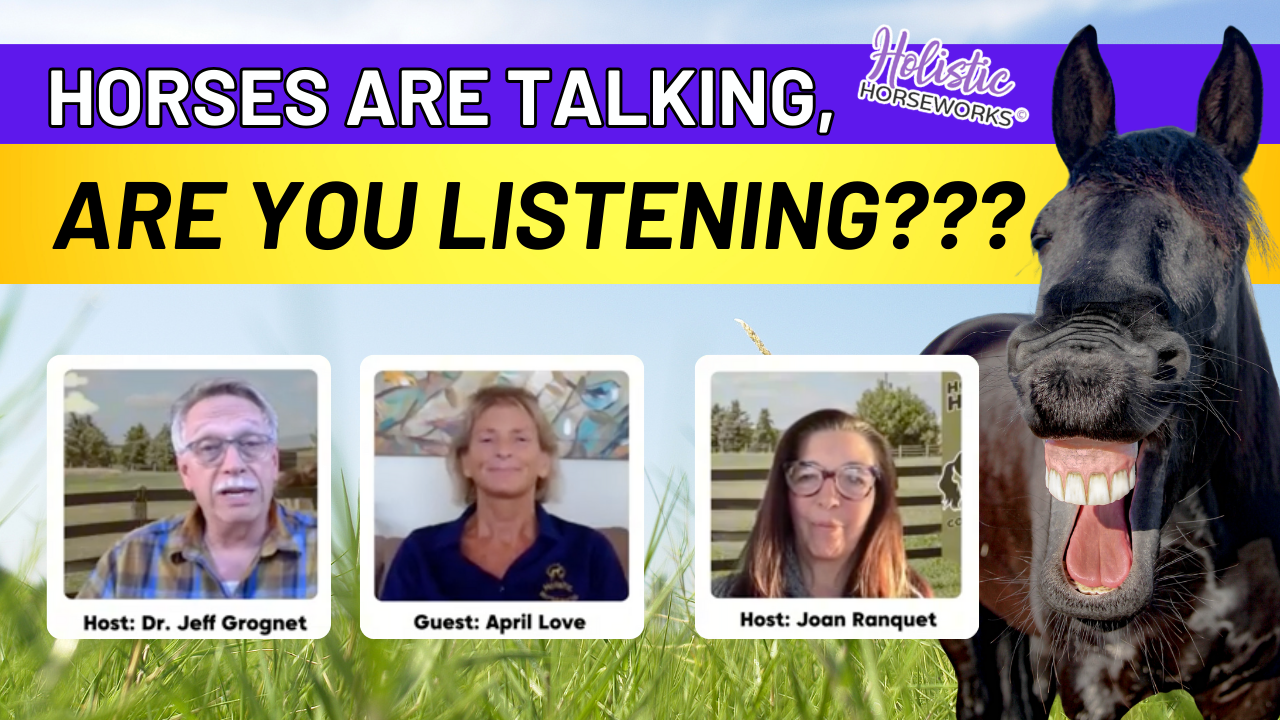 horses are talking are you listening