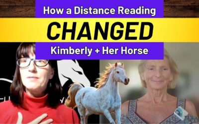 How a Distance Reading CHANGED Kimberly and Her Horse